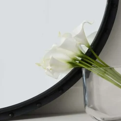Apollo Mirror