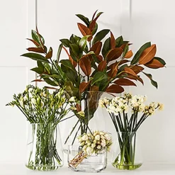 Baptiste Vase