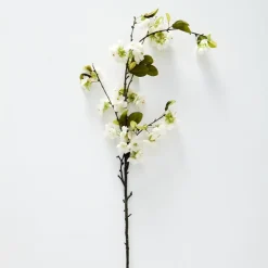 Blossom Stem