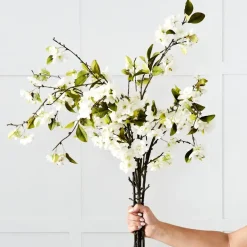 Blossom Stem