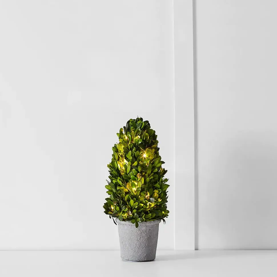 Boxwood Fairy Light Tree 34cm