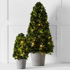 Boxwood Fairy Light Tree 34cm
