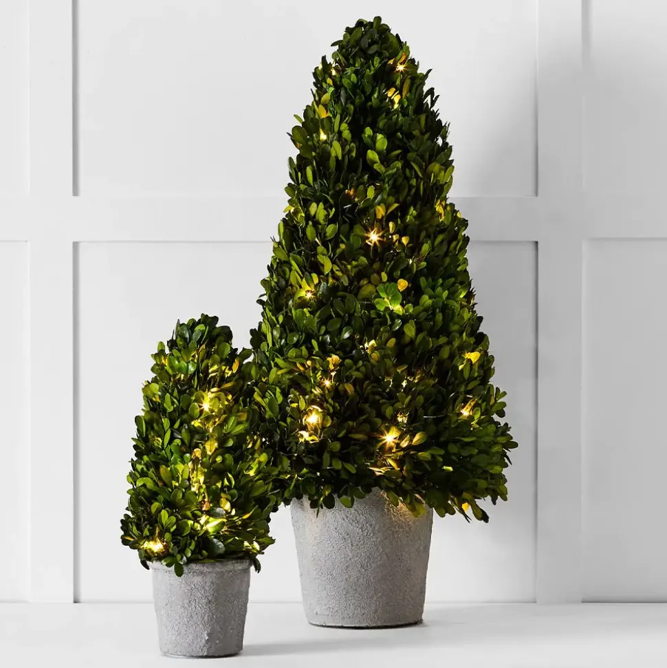 Boxwood Fairy Light Tree 34cm