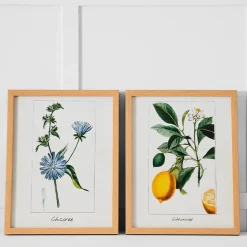 Citronnier Print 36x46