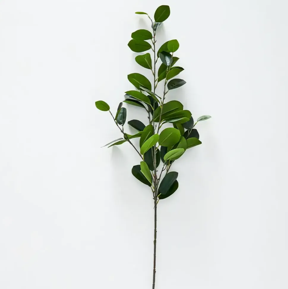 Citrus Leaf Foliage