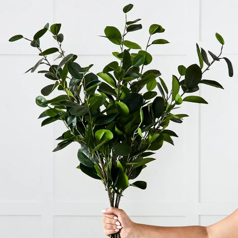 Citrus Leaf Foliage