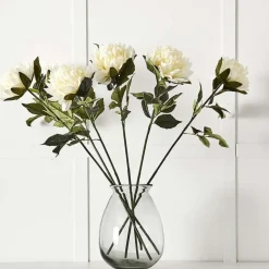 Dahlia Flower Stem