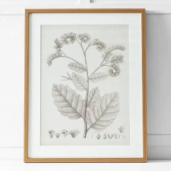 Floreal Print II 60x76