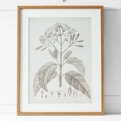 Floreal Print I 60x76