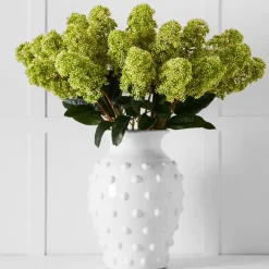 Green Skimmia Stem