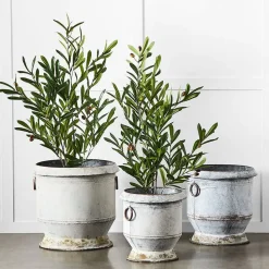 Gruyere Flowerpot L