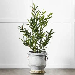 Gruyere Flowerpot S