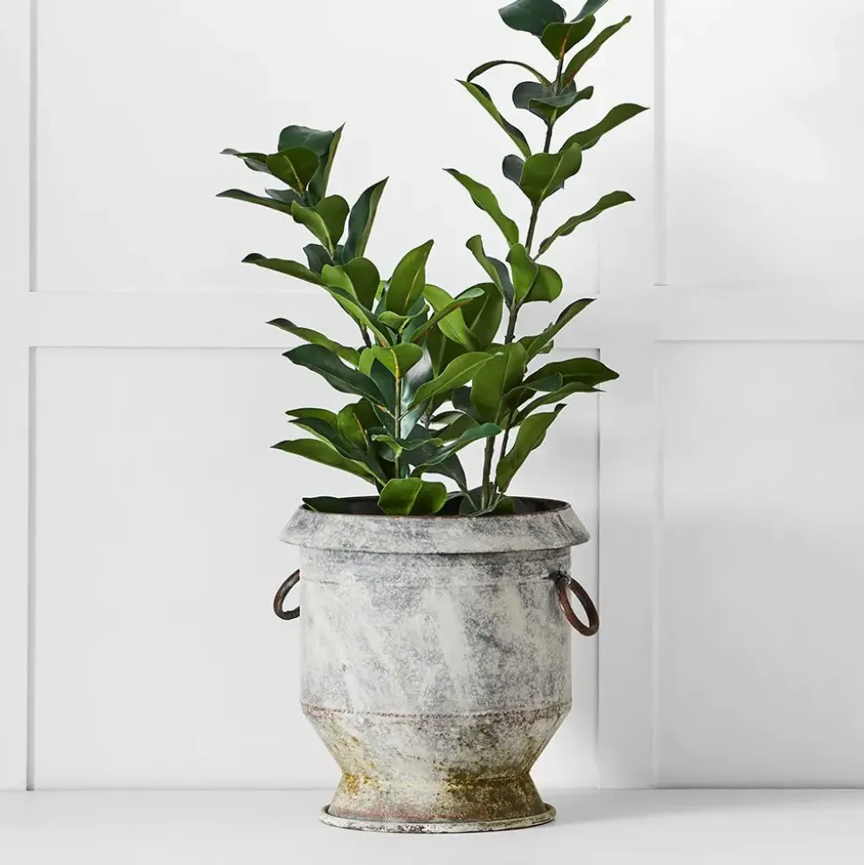 Gruyere Flowerpot XL