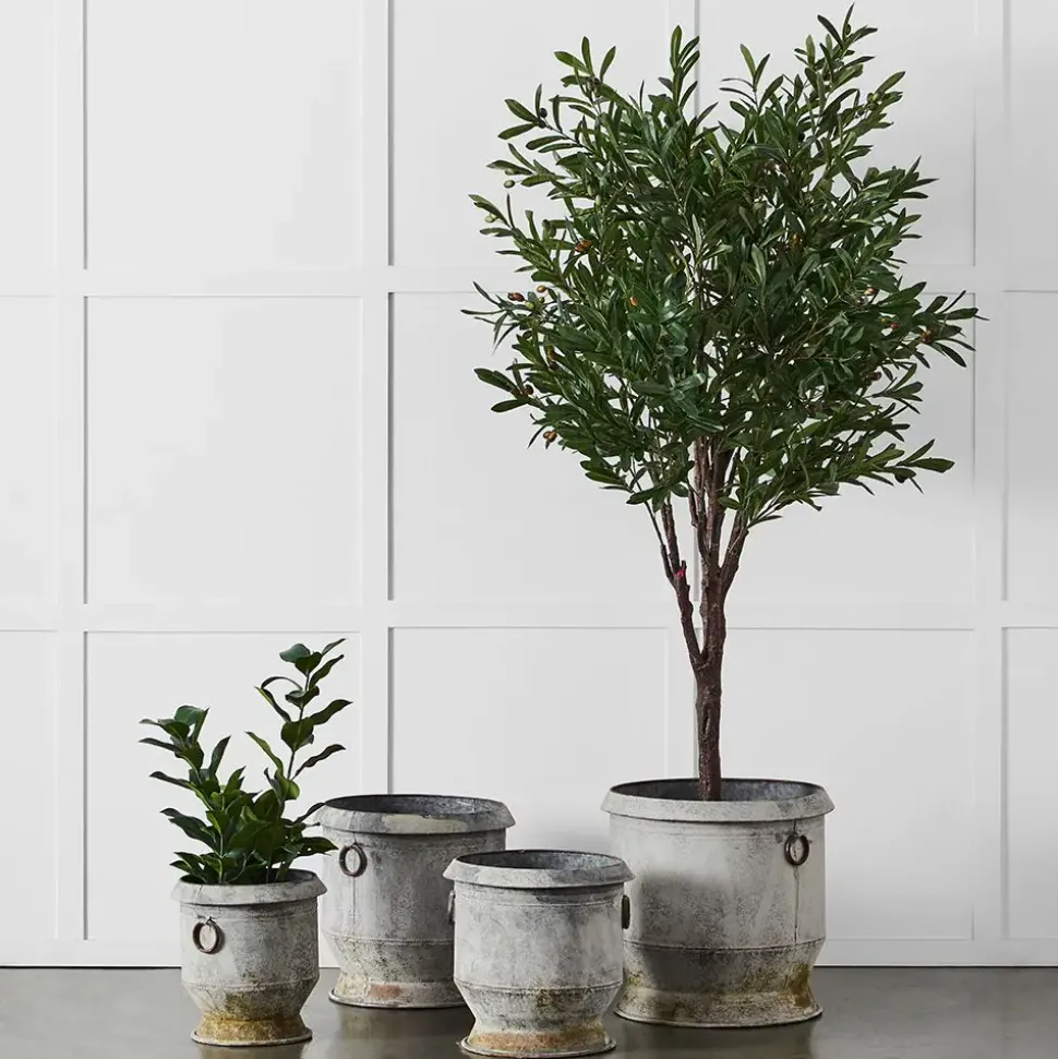 Gruyere Flowerpot XL