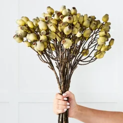 Gumnut Stem