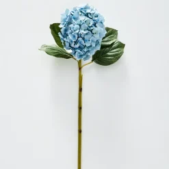 Hydrangea Flower Stem