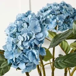 Hydrangea Flower Stem