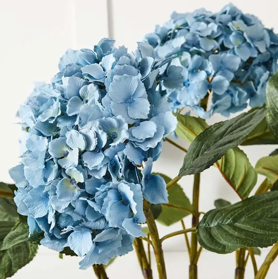 Hydrangea Flower Stem