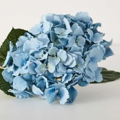 Hydrangea Flower Stem
