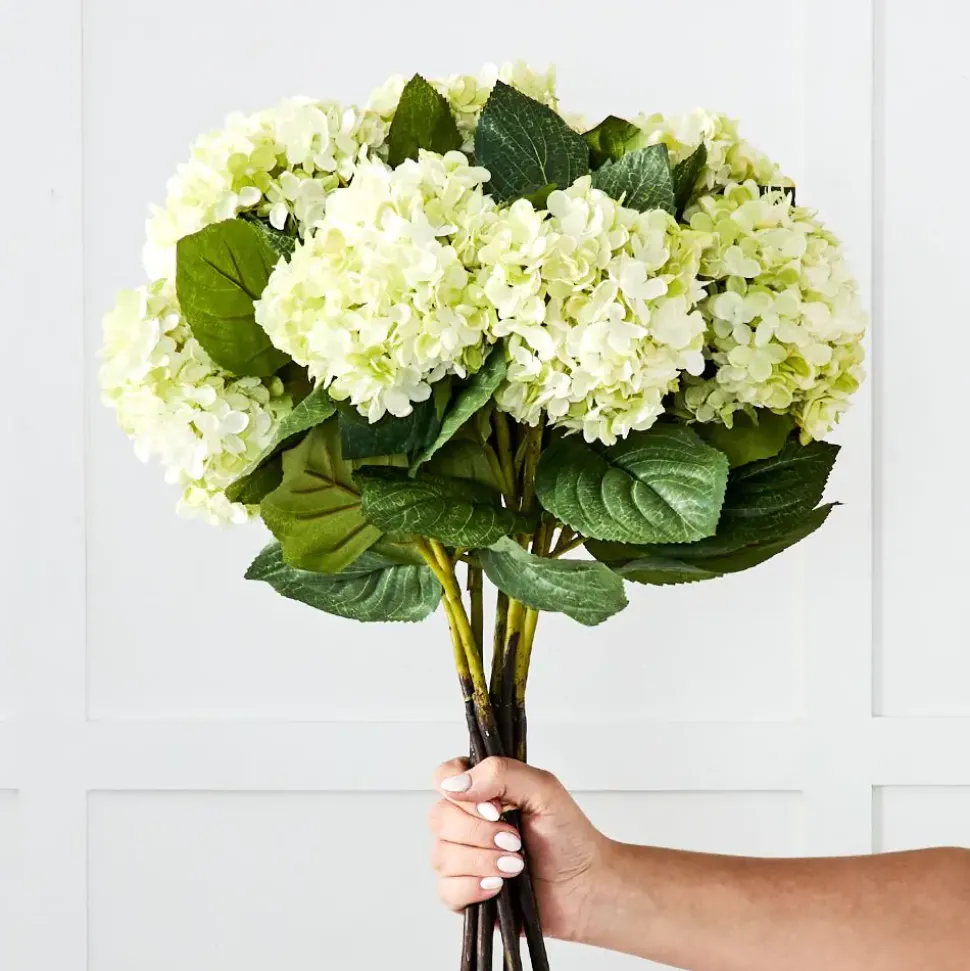 Hydrangea Flower Stem