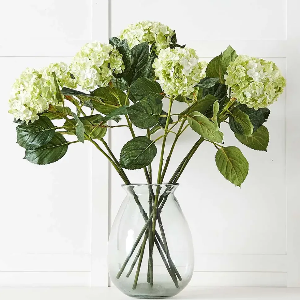 Hydrangea Flower Stem