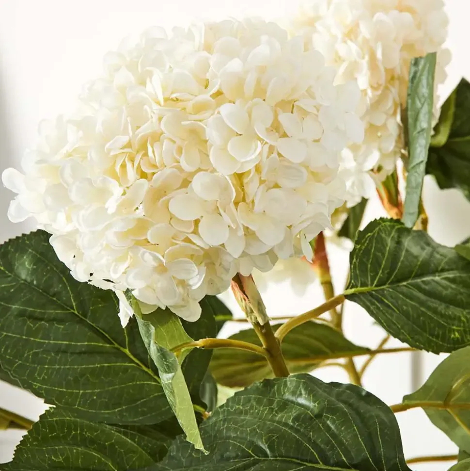 Hydrangea Flower Stem