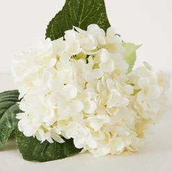 Hydrangea Flower Stem