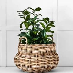 Kubu Bulb Storage Basket