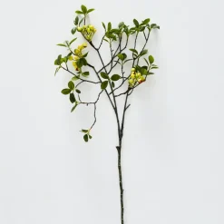 Laurel Berry Stem