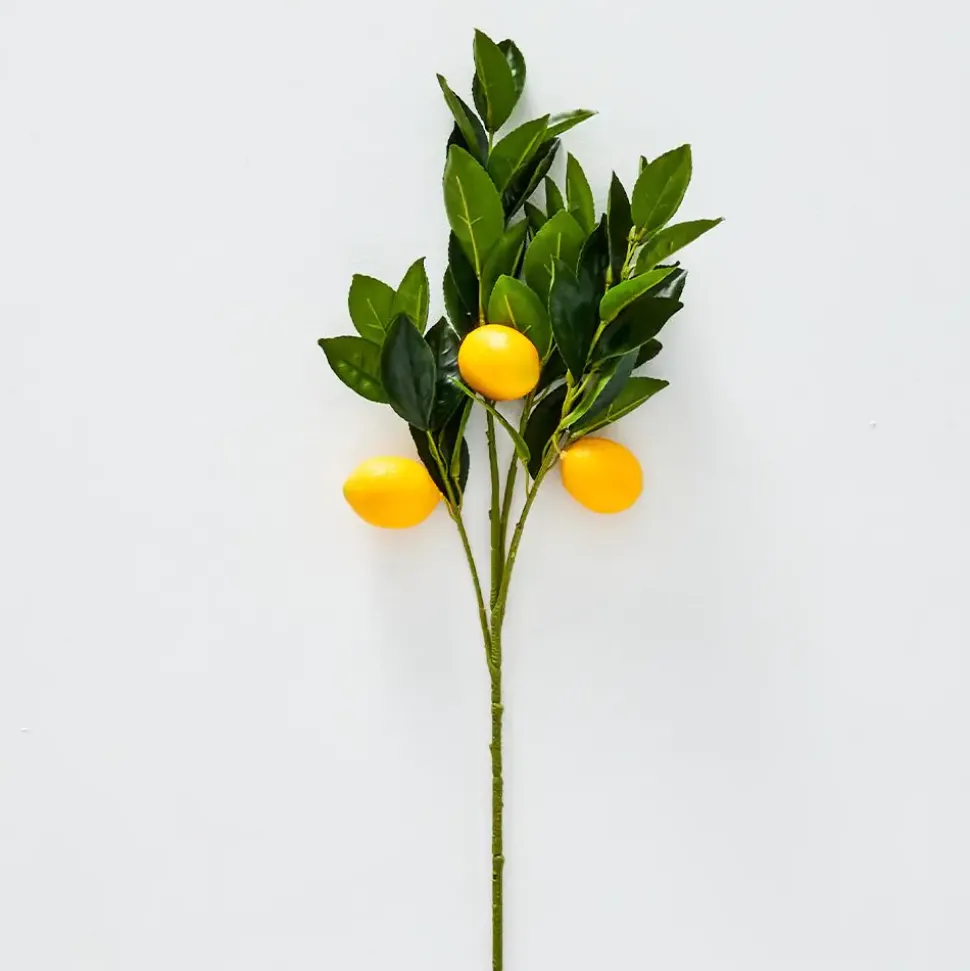 Lemon Stem