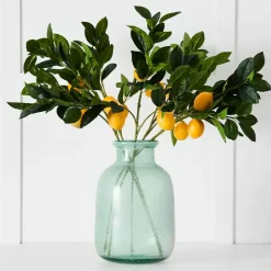 Lemon Stem
