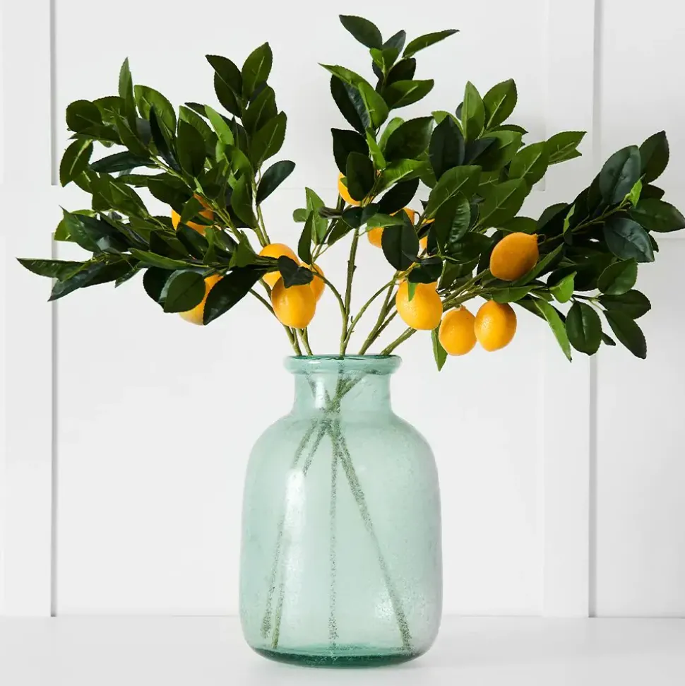 Lemon Stem