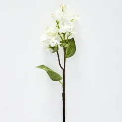 Lilac Stem