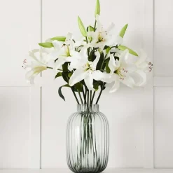 Lily Stem