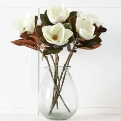 Magnolia Flower Stem