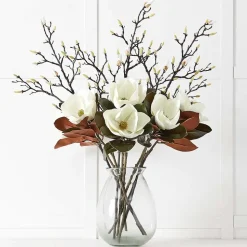 Magnolia Flower Stem