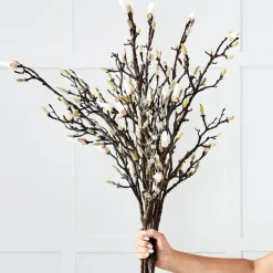 Magnolia Stem