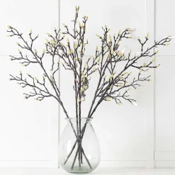 Magnolia Stem