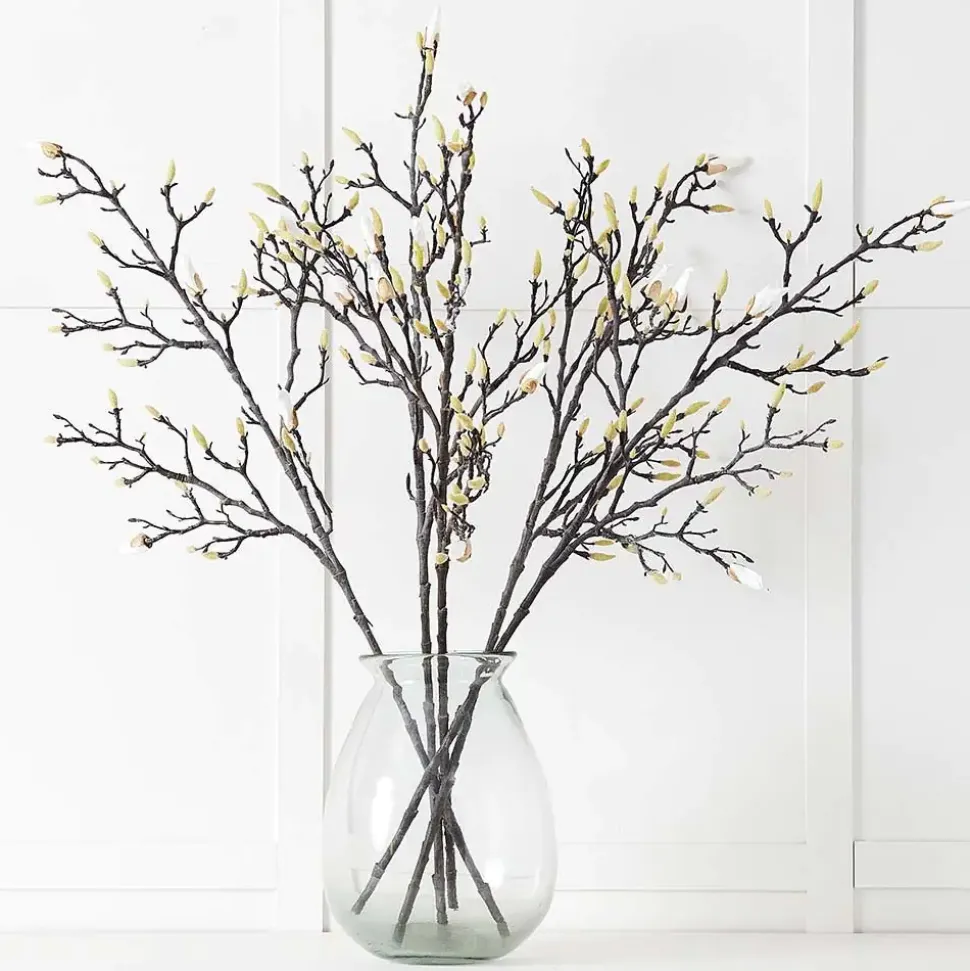 Magnolia Stem
