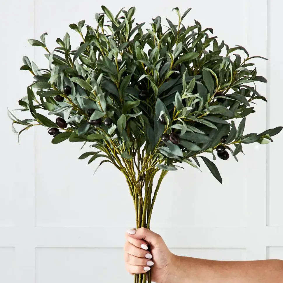 Olive Stem