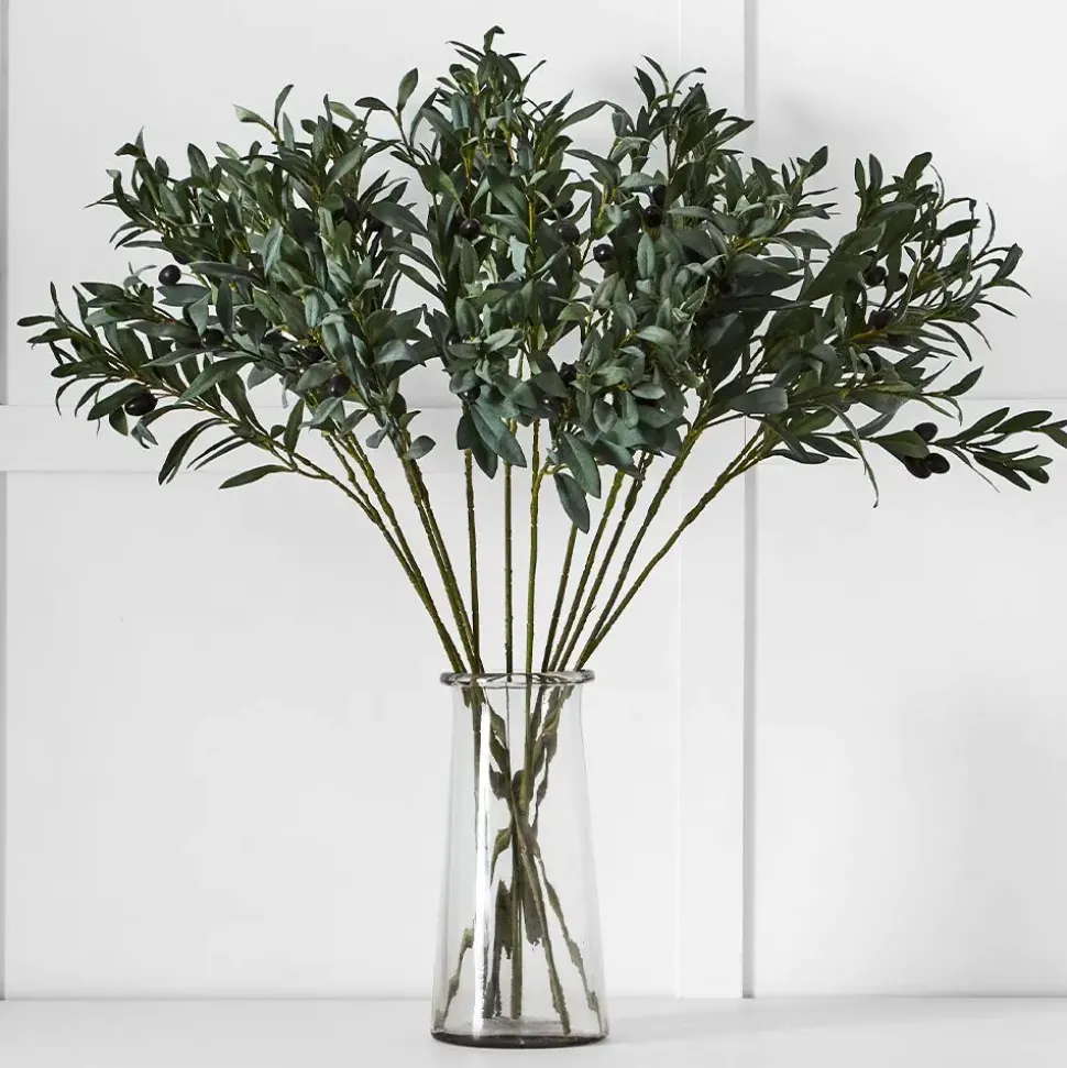 Olive Stem
