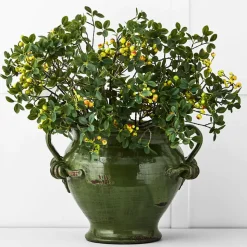 Pelike Urn