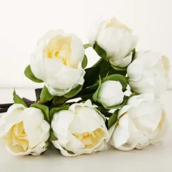 Peony Bunch