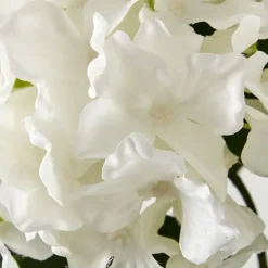 Potted Hydrangea Flower