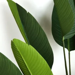 Potted Plant Palm