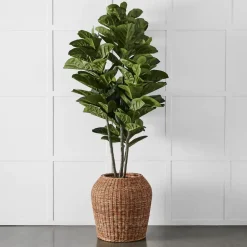 Rafael Planter