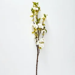 Sakura Blossom Stem