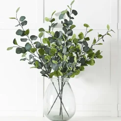 Silver Eucalypt Foliage