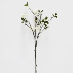 Snowberry Stem