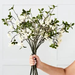 Snowberry Stem